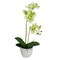 Northlight Real Touch™️Artificial Orchid Potted Plant - 14" - Green